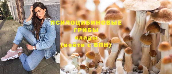 кокаин колумбия Инсар