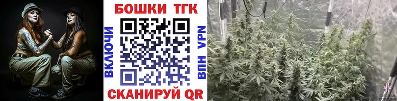 Купить закладки  Донской  Бошки Шишки AK-47 